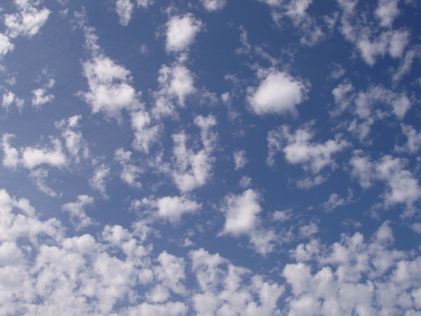 Altocumulus
