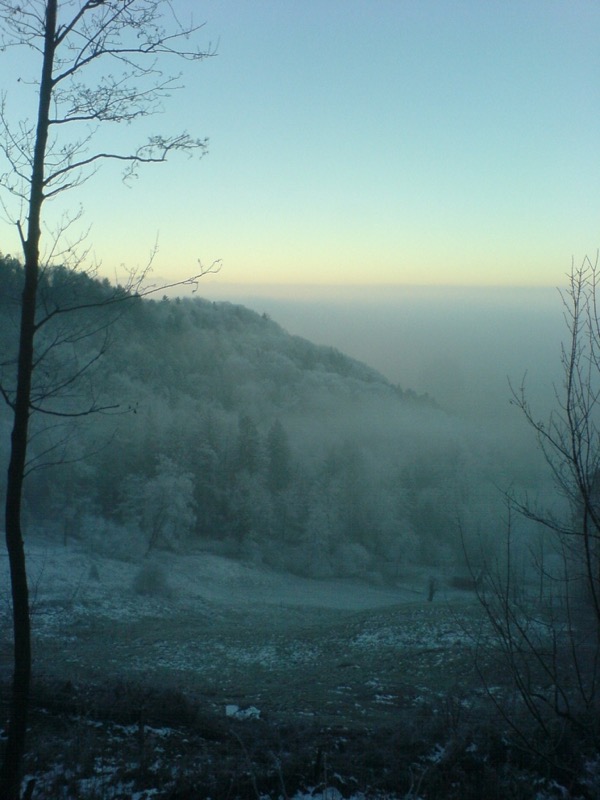Stratus